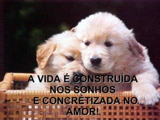 A VIDA É CONSTRUÍDA NOS SONHOS   E CONCRETIZADA NO AMOR! Francisco Cândido Xavier 