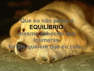 Que eu não perca o  EQUILÍBRIO , mesmo sabendo que inúmeras  forças querem que eu caia...   