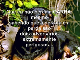 Que eu não perca a   GARRA ,  mesmo sabendo que a derrota e a perda são dois adversários extremamente perigosos... 