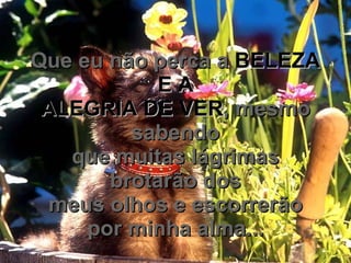 Que eu não perca a  BELEZA E A ALEGRIA DE VER , mesmo sabendo que muitas lágrimas brotarão dos meus olhos e escorrerão por minha alma... 
