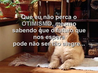 Que eu não perca o   OTIMISMO , mesmo sabendo que o futuro que nos espera pode não ser tão alegre... 