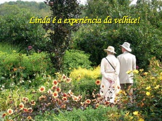 Linda é a experiência da velhice! 