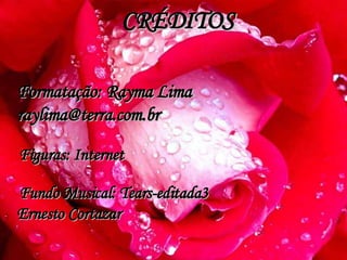 CRÉDITOS Formatação: Rayma Lima [email_address] Figuras: Internet Fundo Musical: Tears-editada3 Ernesto Cortazar 