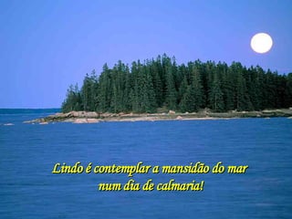 Lindo é contemplar a mansidão do mar  num dia de calmaria! 