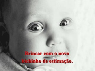 Brincar com o novo
bichinho de estimação.

 