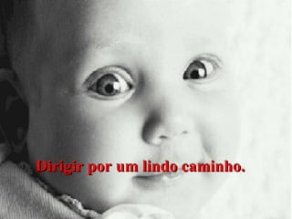 Dirigir por um lindo caminho.

 