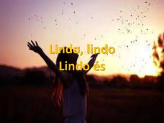 Lindo, lindo
Lindo és
 