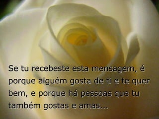 Se tu recebeste esta mensagem, é porque alguém gosta de ti e te quer bem, e porque há pessoas que tu também gostas e amas... 