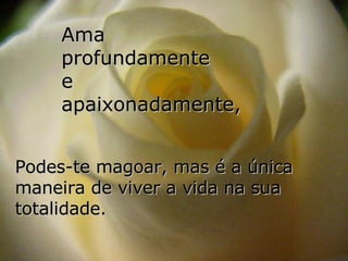 Ama  profundamente  e  apaixonadamente, Podes-te magoar, mas é a única maneira de viver a vida na sua totalidade. 