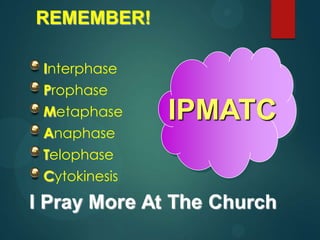REMEMBER!
Interphase
Prophase
Metaphase
Anaphase
Telophase
Cytokinesis
IPMATC
 