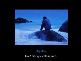 Orgulho
É o Amor que enlouquece.
 