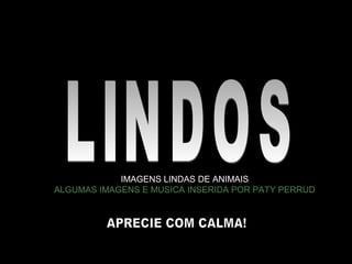 IMAGENS LINDAS DE ANIMAIS
ALGUMAS IMAGENS E MUSICA INSERIDA POR PATY PERRUD
 