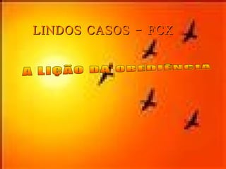 LINDOS CASOS - FCX A LIÇÃO DA OBEDIÊNCIA 