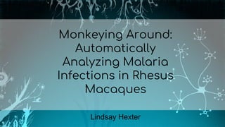 Monkeying Around:
Automatically
Analyzing Malaria
Infections in Rhesus
Macaques
Lindsay Hexter
 