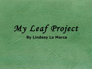 My Leaf Project By Lindsay La Marca 
