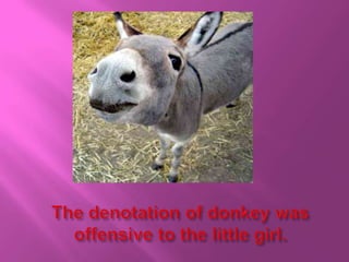 The denotation of donkey was offensive to the little girl.