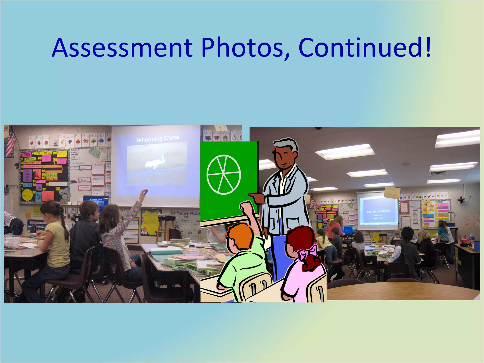 Assessment Photos, Continued! 