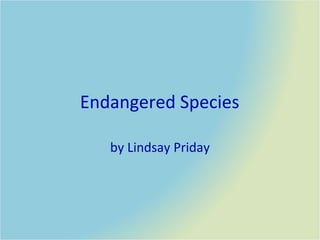 Endangered Species by Lindsay Priday 