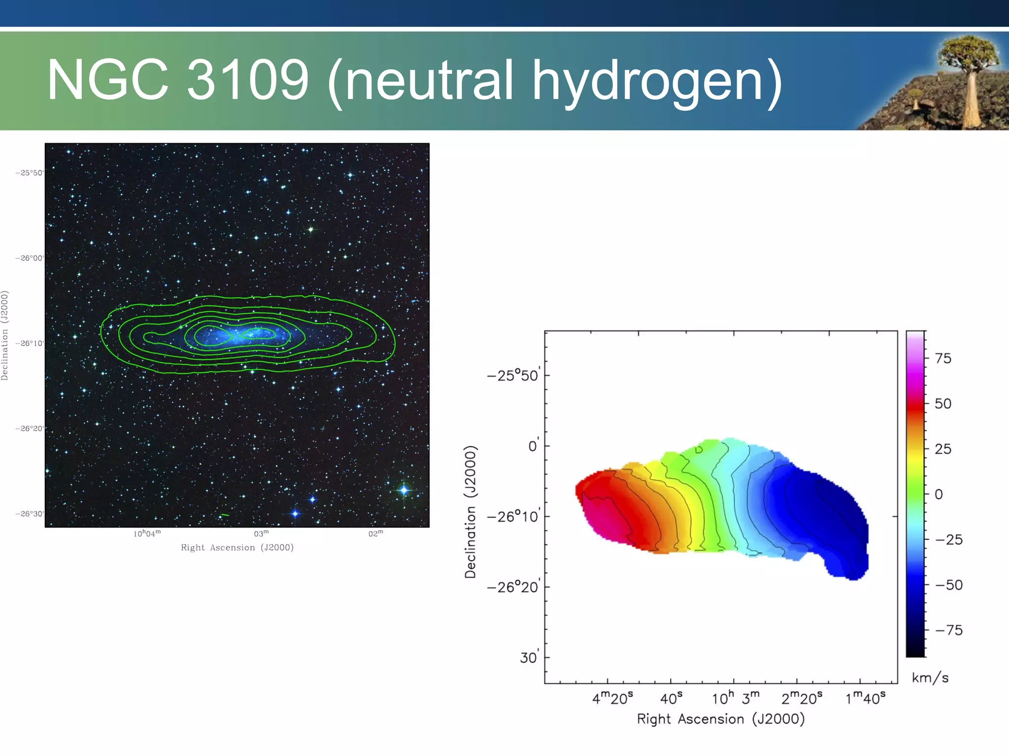 NGC 3109 (neutral hydrogen)
15
 