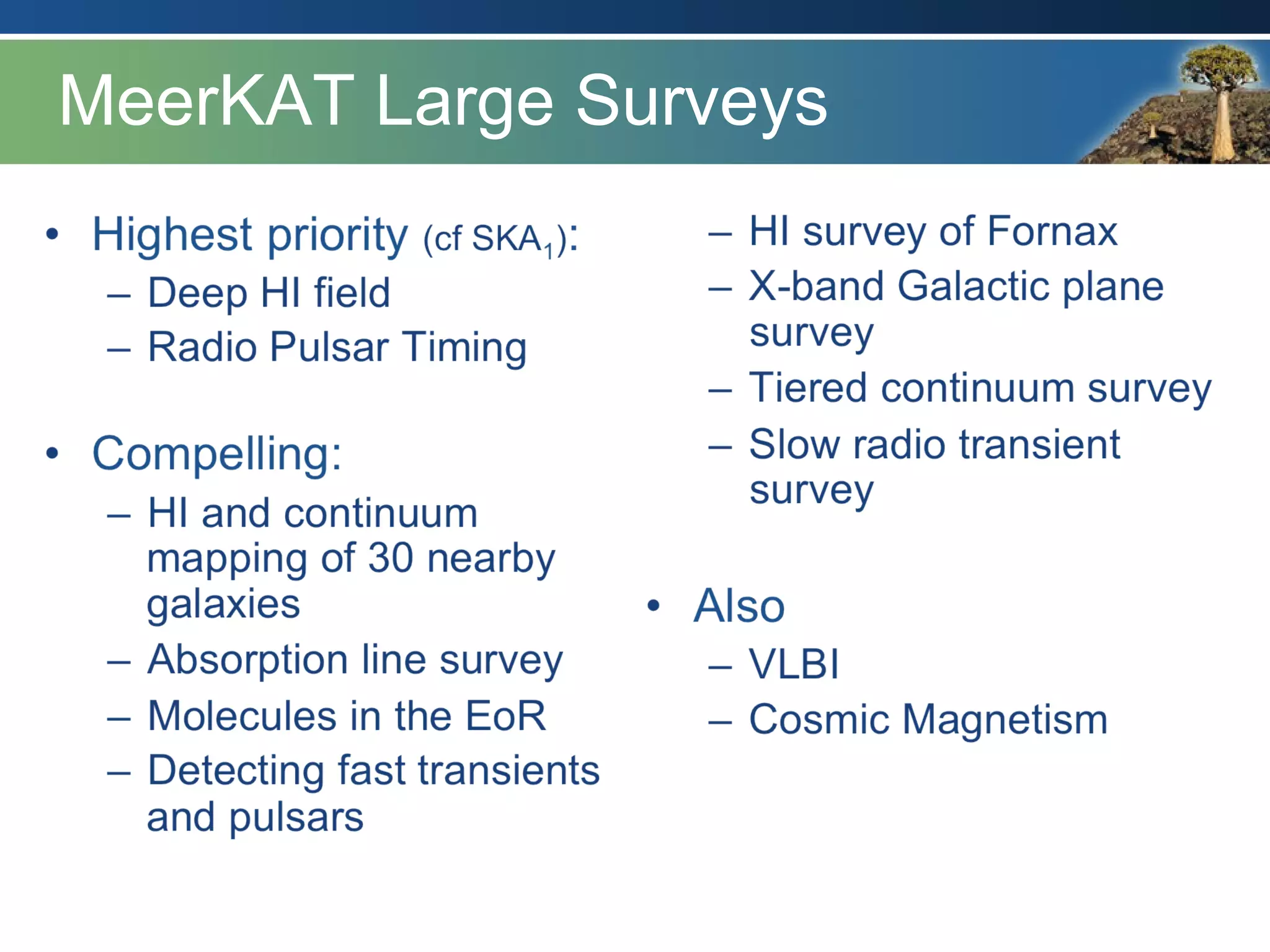 MeerKAT Large Surveys
 