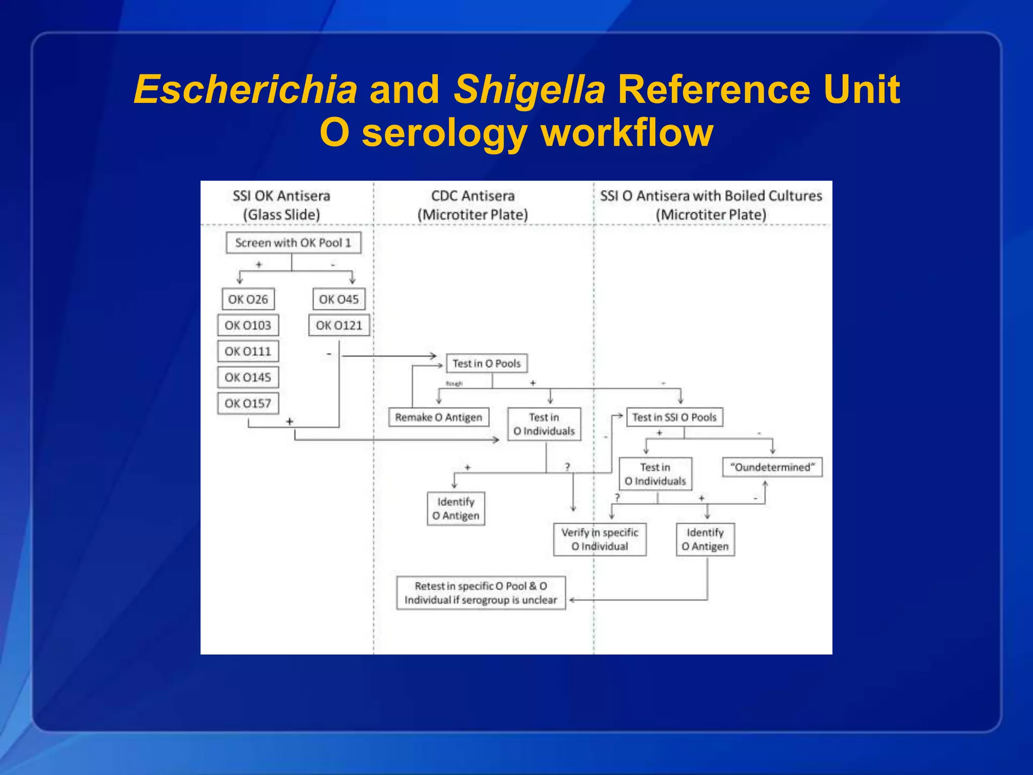 Escherichia and Shigella Reference Unit
O serology workflow
 