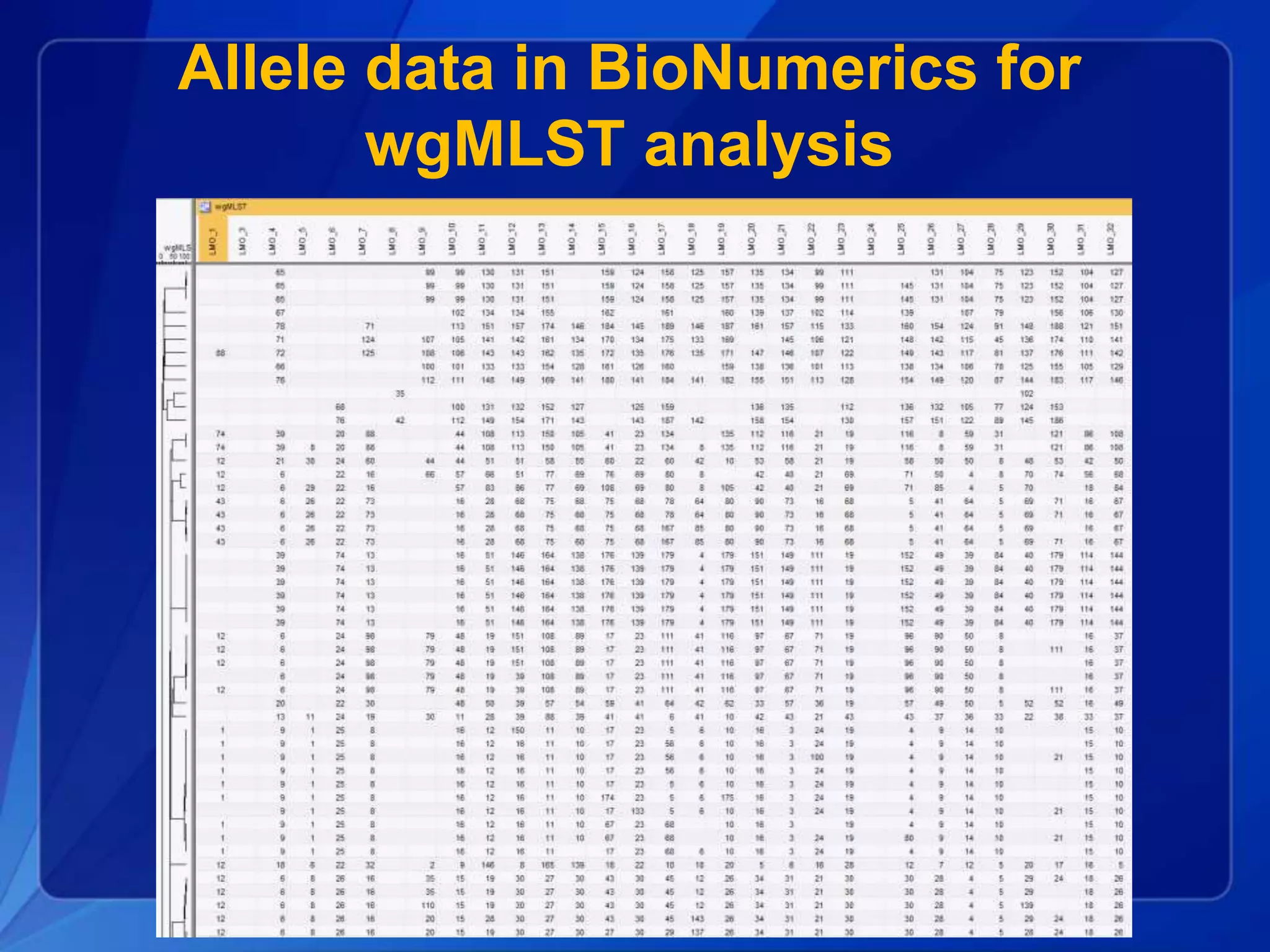 Allele data in BioNumerics for
wgMLST analysis
 