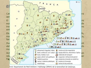 Catalunya continua sent la fàbrica d'Espanya, ja que genera
aproximadament el 25% de la producció industrial de tot l'Estat.
El teixit industrial català és comparable al d'altres grans regions
europees, i està força diversificat (format sobretot per activitats de
transformació) i ben estructurat (amb un gran nombre d'interrelacions
entre les diverses branques productives).
Els sectors més representatius continuen sent el del metall (automòbils,
maquinària, transformació de peces), el químic (indústria petroquímica,
farmacèutica, fibra sintètica), el tèxtil, l'electrònica i l'alimentació.
Durant els anys de crisi econòmica, hi va haver una reducció important
dels sectors del tèxtil i de la confecció; dels de la fusta, el suro i els
mobles; i dels del paper i les arts gràfiques.
Actualment, Catalunya lidera la recuperació de l'activitat industrial en
relació amb la resta de l'Estat espanyol. Això ha estat possible per
l'aplicació d'estratègies de creixement industrial.
 