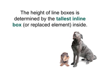 The height of line boxes is
 determined by the tallest inline
box (or replaced element) inside.
 