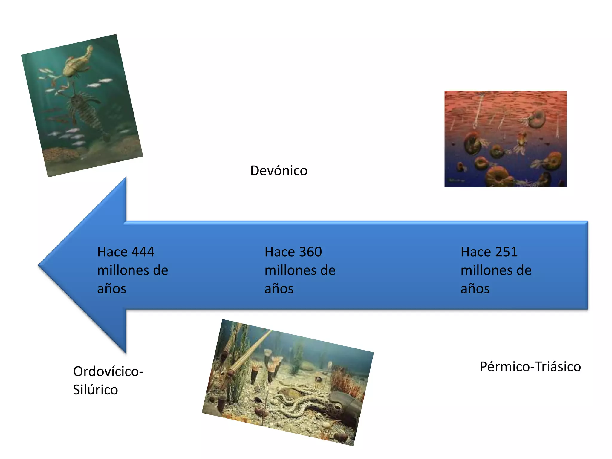 Devónico




   Hace 444       Hace 360      Hace 251
   millones de    millones de   millones de
   años           años          años




Ordovícico-                       Pérmico-Triásico
Silúrico
 