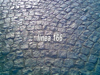 linea 166 