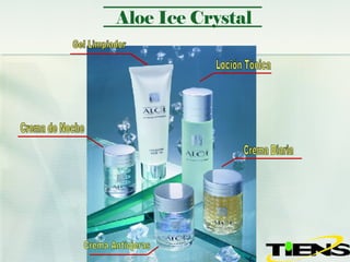 Aloe Ice Crystal Gel Limpiador Crema de Noche Loción Tónica Crema Antiojeras Crema Diaria 