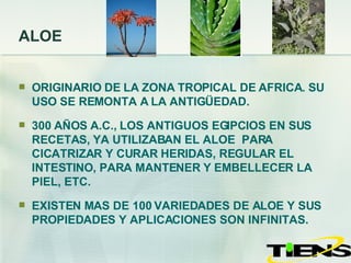 ALOE ORIGINARIO DE LA ZONA TROPICAL DE AFRICA. SU USO SE REMONTA A LA ANTIGÜEDAD.  300 AÑOS A.C., LOS ANTIGUOS EGIPCIOS EN SUS RECETAS, YA UTILIZABAN EL ALOE  PARA CICATRIZAR Y CURAR HERIDAS, REGULAR EL INTESTINO, PARA MANTENER Y EMBELLECER LA PIEL, ETC.   EXISTEN MAS DE 100 VARIEDADES DE ALOE Y SUS PROPIEDADES Y APLICACIONES SON INFINITAS.  