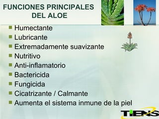 FUNCIONES PRINCIPALES  DEL ALOE Humectante Lubricante Extremadamente suavizante Nutritivo Anti-inflamatorio Bactericida Fungicida Cicatrizante / Calmante Aumenta el sistema inmune de la piel 