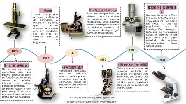 Línea del tiempo del microscopio con sus años y imágenes de 710/2020 | PDF