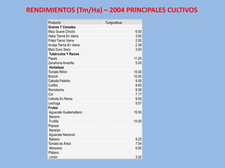 RENDIMIENTOS (Tm/Ha) – 2004 PRINCIPALES CULTIVOS
      Producto                 Tungurahua
      Granos Y Cereales
      Maíz Suave Choclo                      6.50
      Haba Tierna En Vaina                   3.00
      Fréjol Tierno Vaina                    2.50
      Arveja Tierna En Vaina                 2.38
      Maíz Duro Seco                         3.00
       Tubérculos Y Raíces
      Papas                                 11.20
      Zanahoria Amarilla                     5.00
       Hortalizas
      Tomate Riñón                          15.00
      Brócoli                               10.00
      Cebolla Paiteña                        9.50
      Coliflor                               8.60
      Remolacha                              8.58
      Col                                    7.17
      Cebolla En Rama                        9.50
      Lechuga                                5.57
      Frutas
      Aguacate Guatemalteco                 15.50
       Banano
       Frutilla                             10.00
      Papaya
       Naranja
      Aguacate Nacional
       Babaco                                9.25
      Tomate de Árbol                        7.54
       Manzana                               6.00
      Plátano
       Limón                                 3.20
 