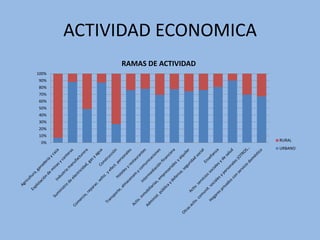 ACTIVIDAD ECONOMICA
            RAMAS DE ACTIVIDAD
100%
90%
80%
70%
60%
50%
40%
30%
20%
10%
                                 RURAL
 0%
                                 URBANO
 