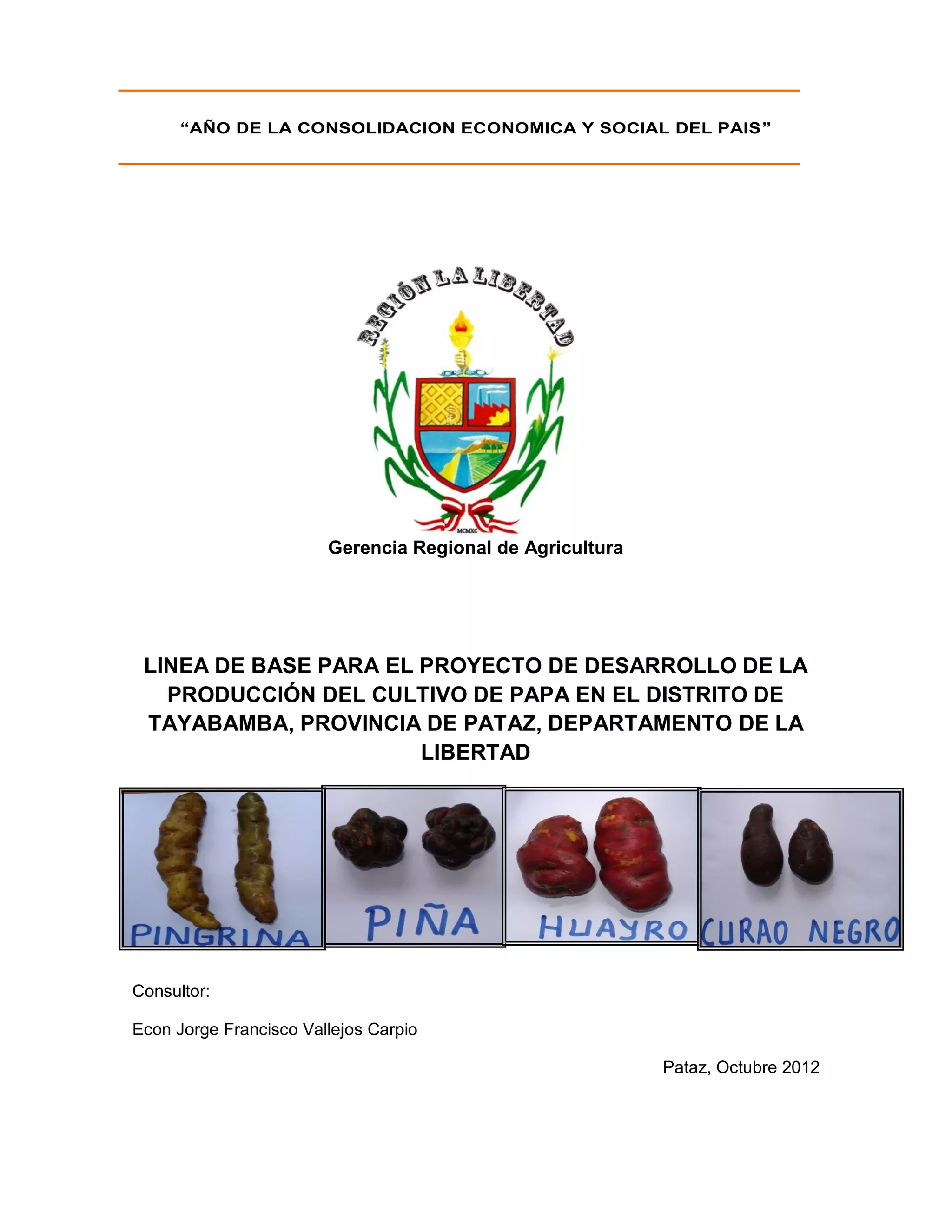 Linea de base para productores de papa del distrito de tayabamba