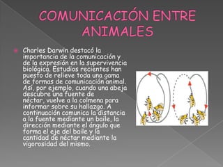 COMUNICACIÓN ENTRE ANIMALESCharles Darwin destacó la importancia de la comunicación y de la expresión en la supervivencia biológica. Estudios recientes han puesto de relieve toda una gama de formas de comunicación animal. Así, por ejemplo, cuando una abeja descubre una fuente de néctar, vuelve a la colmena para informar sobre su hallazgo. A continuación comunica la distancia a la fuente mediante un baile, la dirección mediante el ángulo que forma el eje del baile y la cantidad de néctar mediante la vigorosidad del mismo.