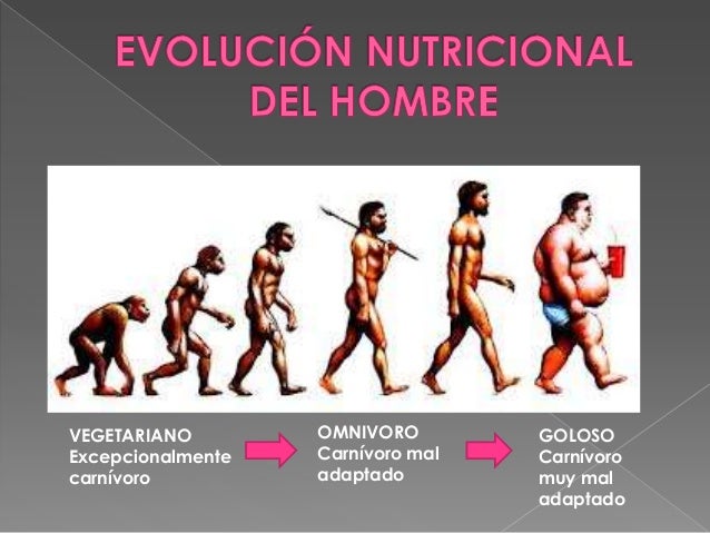 Linea del tiempo sobre la alimentación