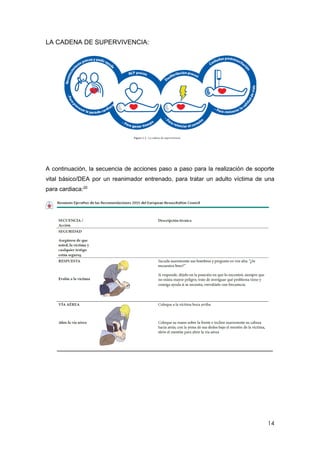 14
LA CADENA DE SUPERVIVENCIA:
A continuación, la secuencia de acciones paso a paso para la realización de soporte
vital básico/DEA por un reanimador entrenado, para tratar un adulto víctima de una
para cardiaca:20
 