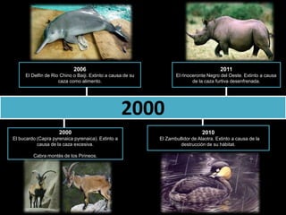 Animales Extintos En El Mundo
