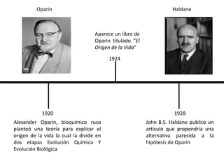Teoras Del Origen Y Evolucin De La Vida Timeline 768x932