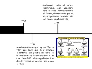Teoras Del Origen Y Evolucin De La Vida Timeline 768x932