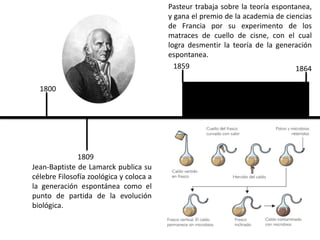 Teoras Del Origen Y Evolucin De La Vida Timeline 768x932