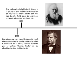 Teoras Del Origen Y Evolucin De La Vida Timeline 768x932