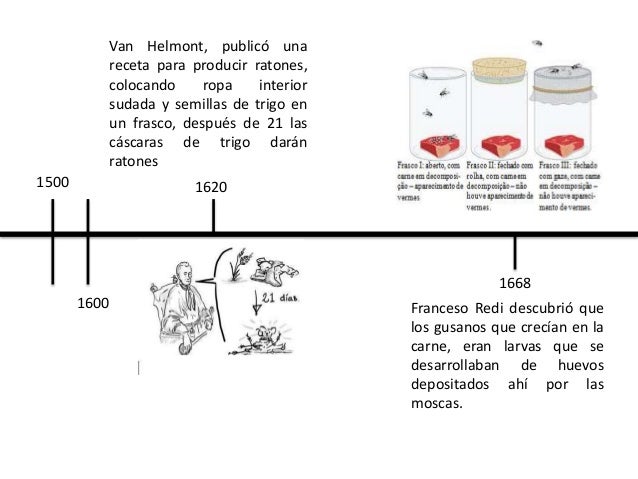 Linea De Tiempo Teorias Del Origen De La Vida - kulturaupice