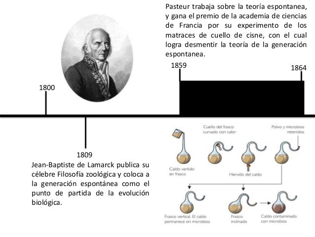 Linea De Tiempo Teorias Del Origen De La Vida - kulturaupice