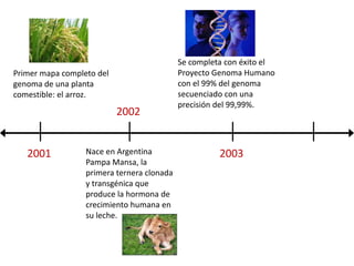 Se completa con éxito el Proyecto Genoma Humano con el 99% del genoma secuenciado con una precisión del 99,99%.Primer mapa completo del genoma de una planta comestible: el arroz.2002Nace en Argentina  Pampa Mansa, la primera ternera clonada y transgénica que produce la hormona de crecimiento humana en su leche. 20032001