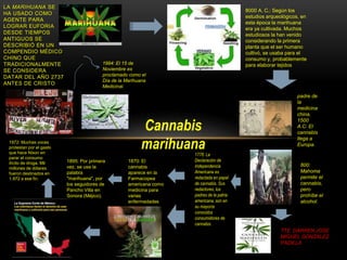 LA MARIHUANA SE
HA USADO COMO
AGENTE PARA
LOGRAR EUFORIA
DESDE TIEMPOS
ANTIGUOS SE
DESCRIBIÓ EN UN
COMPENDIO MÉDICO
CHINO QUE
TRADICIONALMENTE
SE CONSIDERA
DATAR DEL AÑO 2737
ANTES DE CRISTO
8000 A. C.: Según los
estudios arqueológicos, en
esta época la marihuana
era ya cultivada. Muchos
estudiosos la han venido
considerando la primera
planta que el ser humano
cultivó, se usaba para el
consumo y, probablemente
para elaborar tejidos
Cannabis
marihuana
padre de
la
medicina
china.
1500
A.C: El
cannabis
llega a
Europa.
800:
Mahoma
permite el
cannabis,
pero
prohíbe el
alcohol.
1776: La
Declaración de
Independencia
Americana es
redactada en papel
de cannabis. Sus
redactores, los
padres de la patria
americana, son en
su mayoría
conocidos
consumidores de
cannabis.
1870: El
cannabis
aparece en la
Farmacopea
americana como
medicina para
varias
enfermedades
1895: Por primera
vez, se usa la
palabra
"marihuana", por
los seguidores de
Pancho Villa en
Sonora (Méjico).
1972: Muchas voces
protestan por el gasto
que hace Nixon en
parar el consumo
ilícito de droga. Mil
millones de dólares
fueron destinados en
1.972 a ese fin.
1994: El 15 de
Noviembre es
proclamado como el
Día de la Marihuana
Medicinal.
TTE DARREN JOSE
MIGUEL GONZALEZ
PADILLA
 