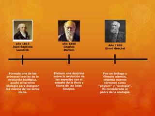 año 1810 
Jean-Baptiste 
Lamarck 
Formulo una de las 
primeras teorías de la 
evolución biológica, 
acuño el termino 
biología para designar 
las ciencia de los seres 
vivos. 
año 1850 
Charles 
Darwin 
Elaboro una doctrina 
sobre la evolución de 
las especies con el 
estudio de la flora y 
fauna de las Islas 
Galapos. 
Año 1900 
Ernst Haeckel 
Fue un biólogo y 
filosofo alemán, 
creando nuevos 
términos como 
“phylum” y “ecología”. 
Es considerado el 
padre de la ecología. 
 